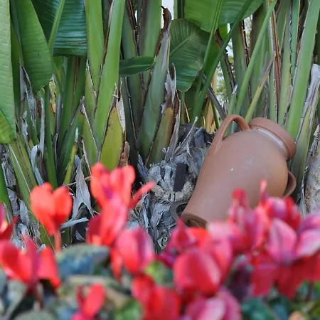 Marcella * Porto Cesareo