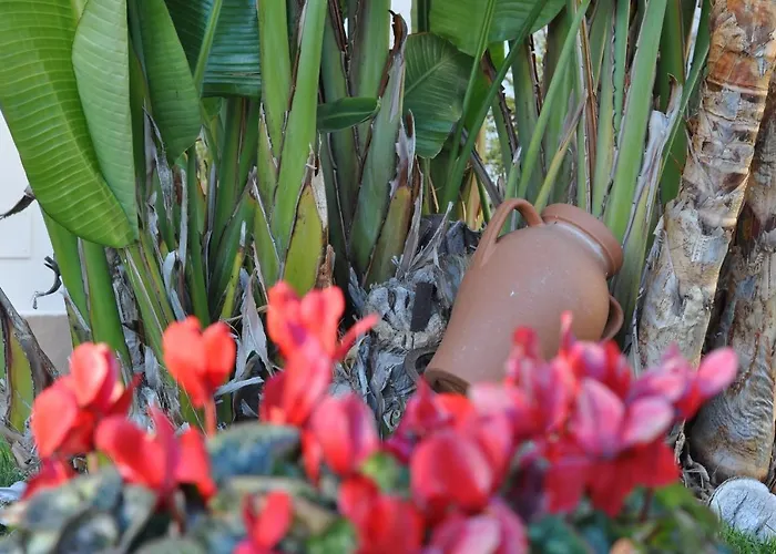 Marcella * Porto Cesareo